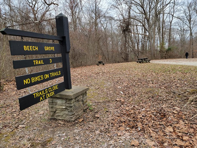 Beech Grove Picnic Area at Clifty Falls State Park