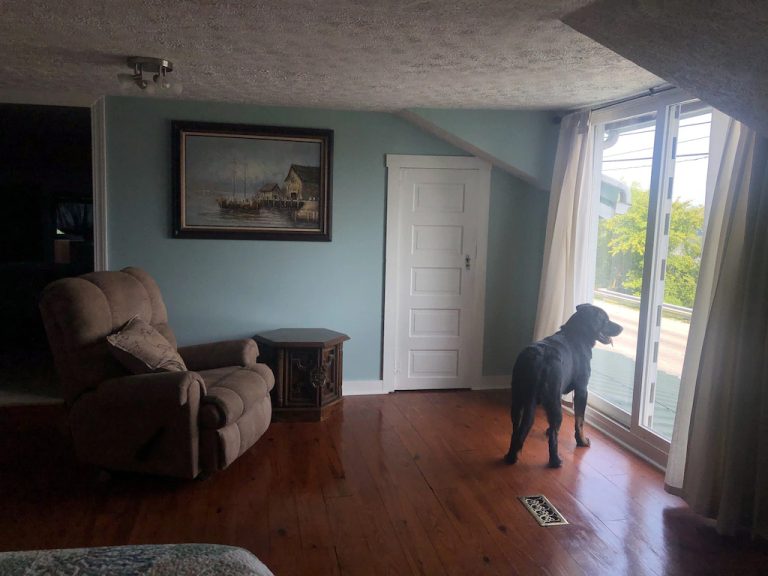 Pet Friendly Vacation Rental Near Clifty Falls State Park