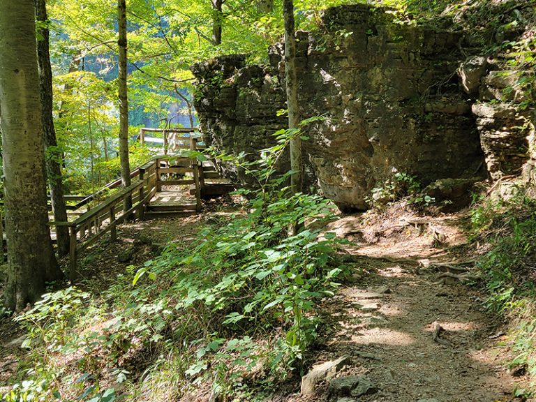 Hiking Trail 7 at Clifty Falls State Park