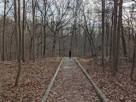 Hiking Trail at Clifty Falls State Park